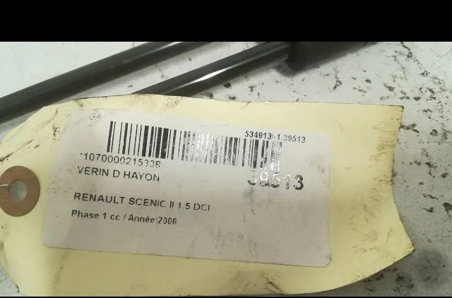 Verin droit hayon Renault SCÉNIC II (JM0-1_) 1.5 dci (jm1e, jm16) (2005-2008) 5 portes occasion