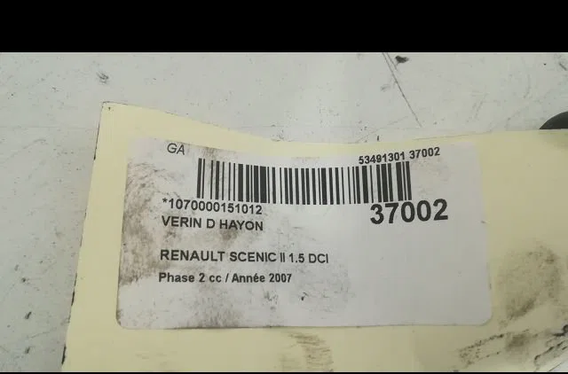 Verin droit hayon Renault SCÉNIC II (JM0-1_) 1.5 dci (jm1e, jm16) (2005-2008) 5 portes occasion