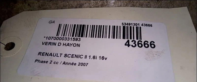 Verin droit hayon Renault SCÉNIC II (JM0-1_) 1.6 16v (jm1r) (2005-2008) occasion