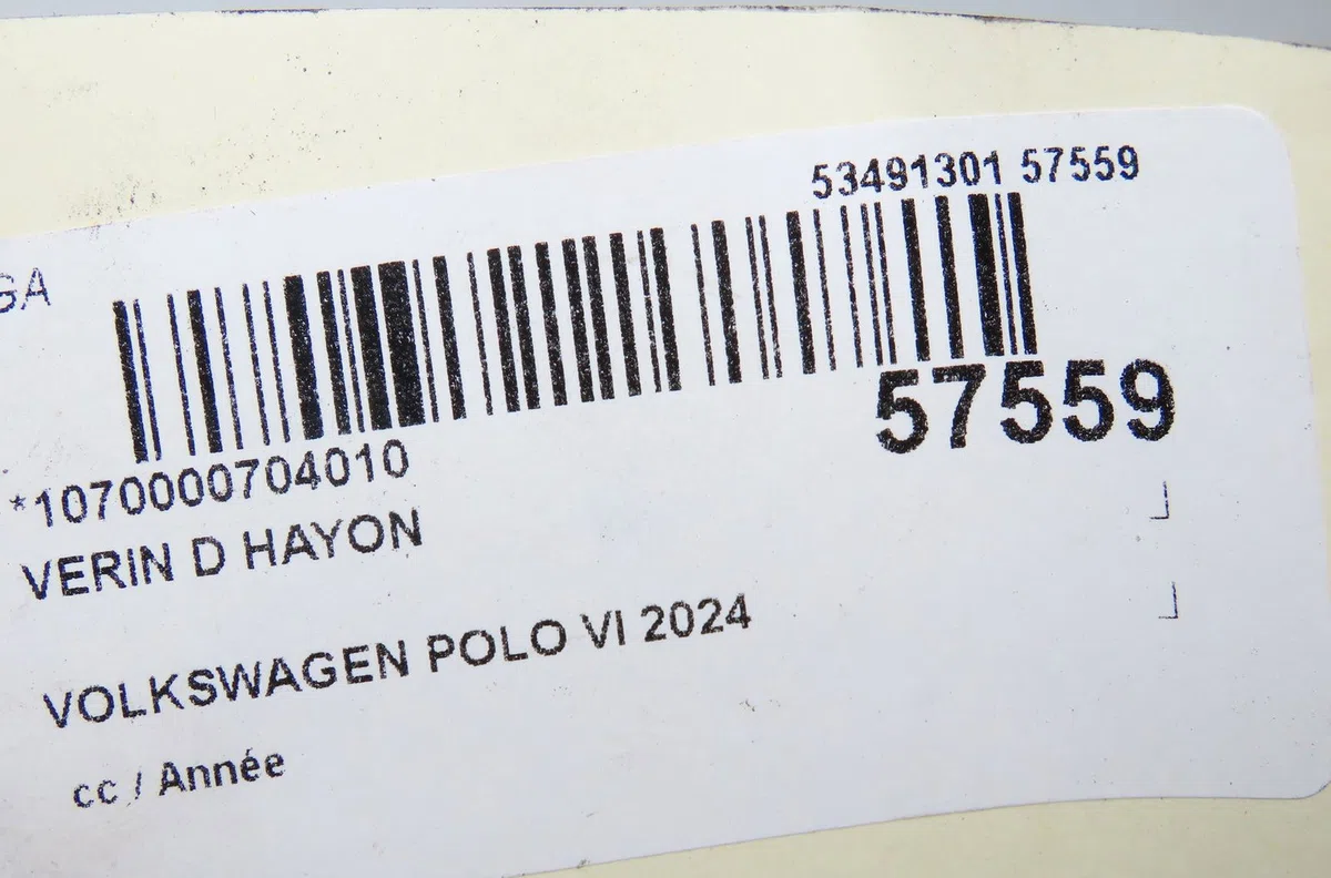 Verin droit hayon Volkswagen POLO VI (AW1, BZ1, AE1) Gti (2021) occasion
