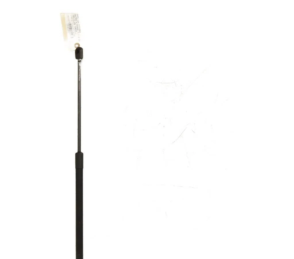Verin g capot Opel ASTRA H (A04) 1.3 cdti (l48) (2005-2010) occasion