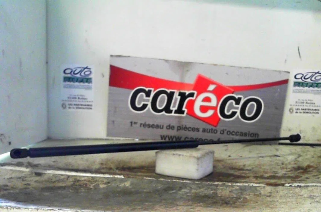 Verin g capot VOLKSWAGEN NEW BEETLE 1  NEW BEETLE 1 PHASE 1 occasion