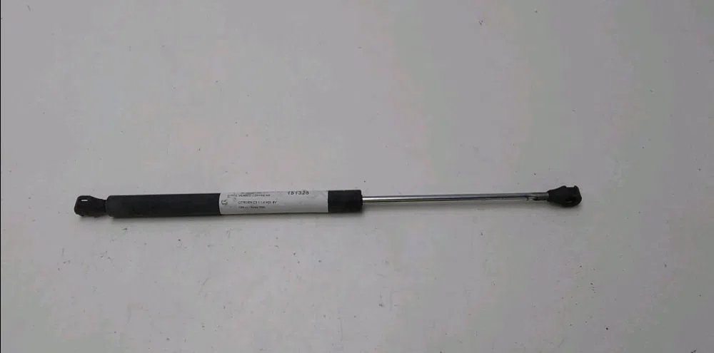 Verin gauche coffre arrière Citroen C3 I (FC_, FN_) 1.4 hdi (2003-2011) 5 portes occasion