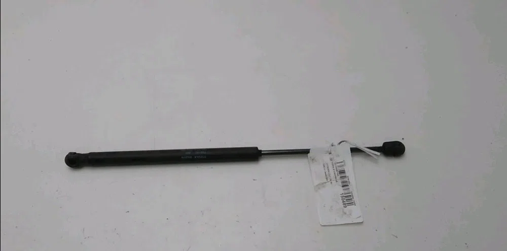 Verin gauche coffre arrière Citroen C3 I (FC_, FN_) 1.4 i (2002-2010) 5 portes occasion
