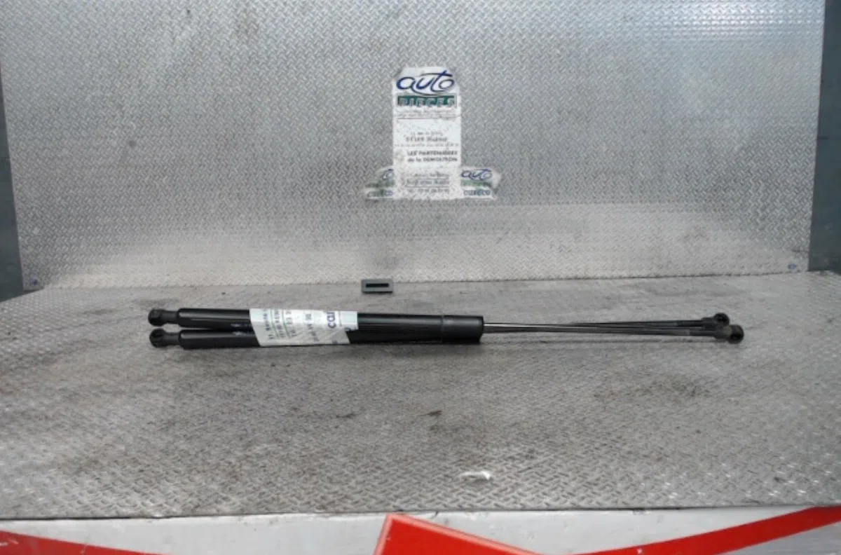 Verin gauche hayon CITROEN C3 PICASSO  C3 PICASSO PHASE 1 occasion