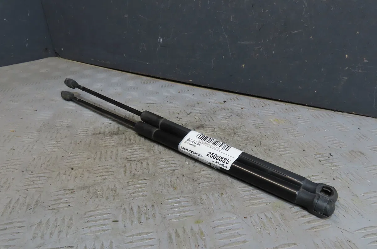 Verin gauche hayon Dacia SANDERO 1.6 mpi 85 (bs03) (2010-2013) occasion