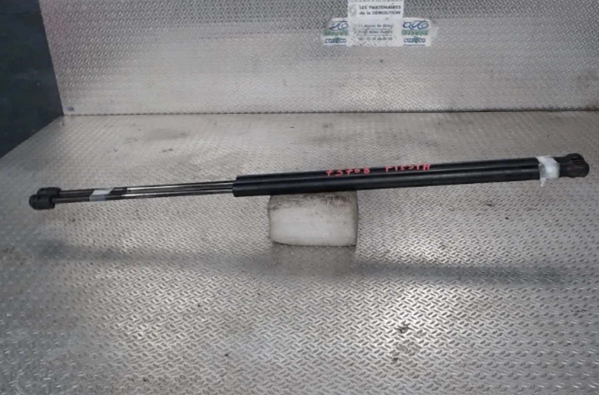 Verin gauche hayon Ford FIESTA V (JH_, JD_) 1.4 tdci (2001-2008) 5 portes occasion
