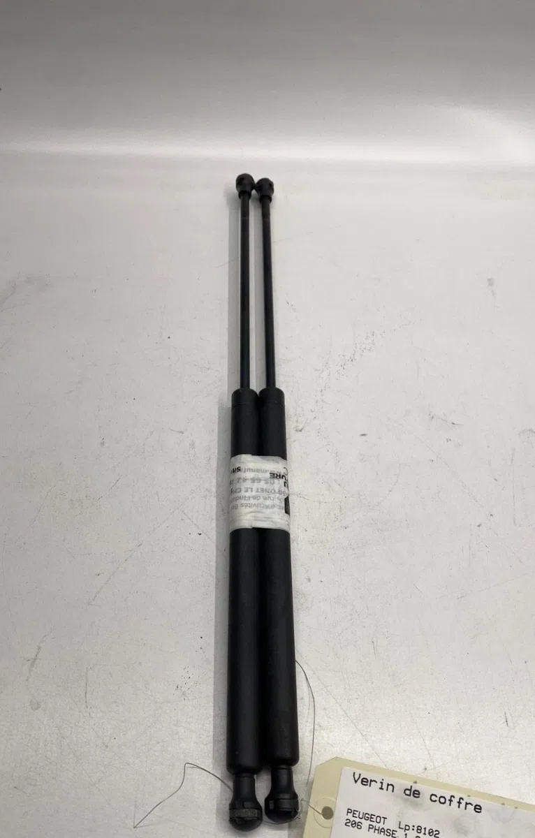 Verin gauche hayon Peugeot 206 3-5 portes (2A-C) 2.0 hdi 90 (1999-2009) 5 portes occasion