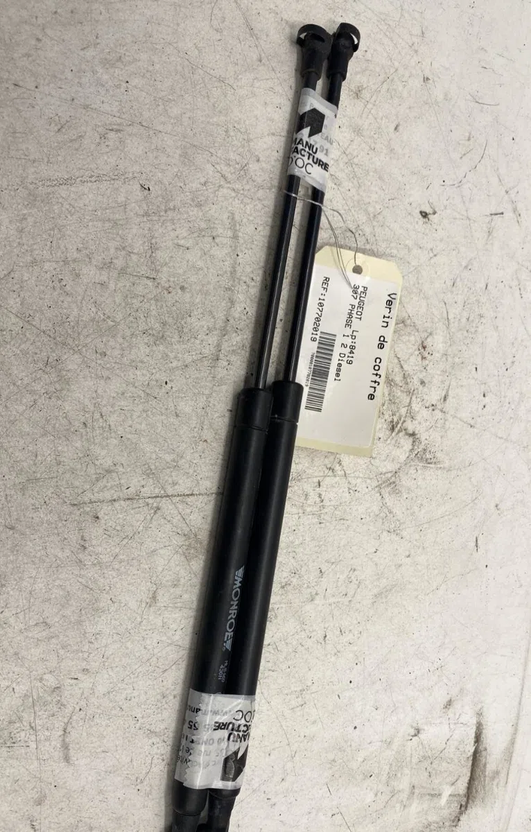 Verin gauche hayon Peugeot 307 (3A-C) 2.0 hdi 90 (2000-2007) 5 portes occasion