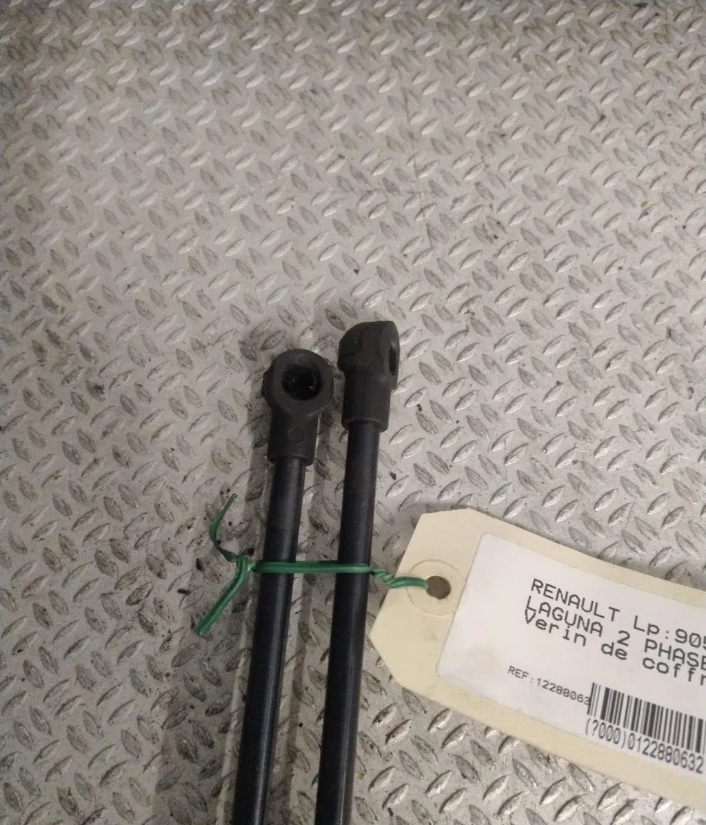 Verin gauche hayon Renault LAGUNA II (BG0-1_) 1.9 dci (bg08, bg0g) (2001-2007) occasion