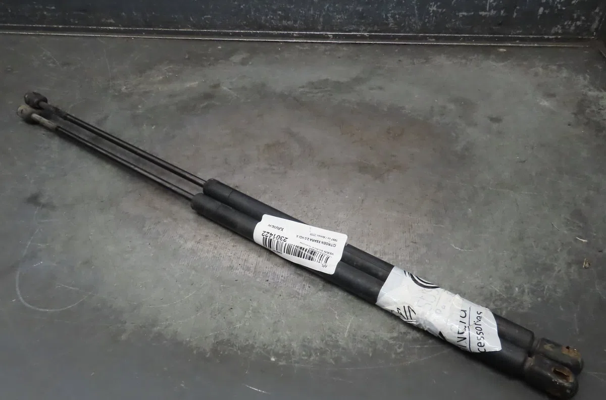 Verin glace hayon Citroën XSARA (N1) 2.0 hdi 90 (1999-2005) occasion