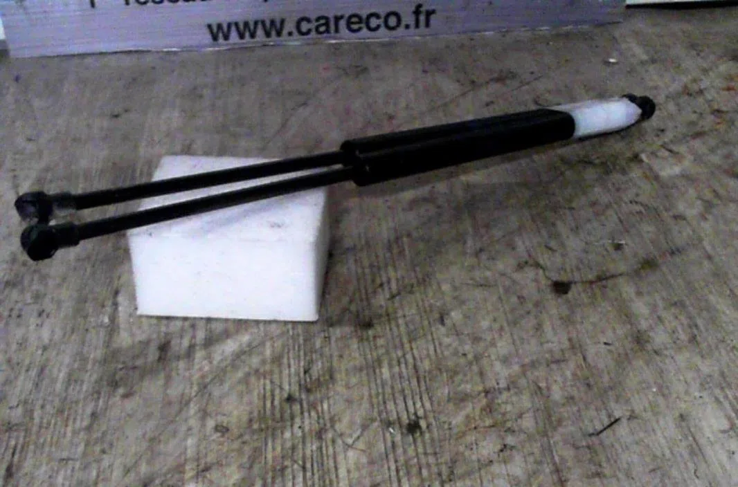 Verin glace hayon RENAULT SCENIC 1  SCENIC 1 PHASE 2 occasion