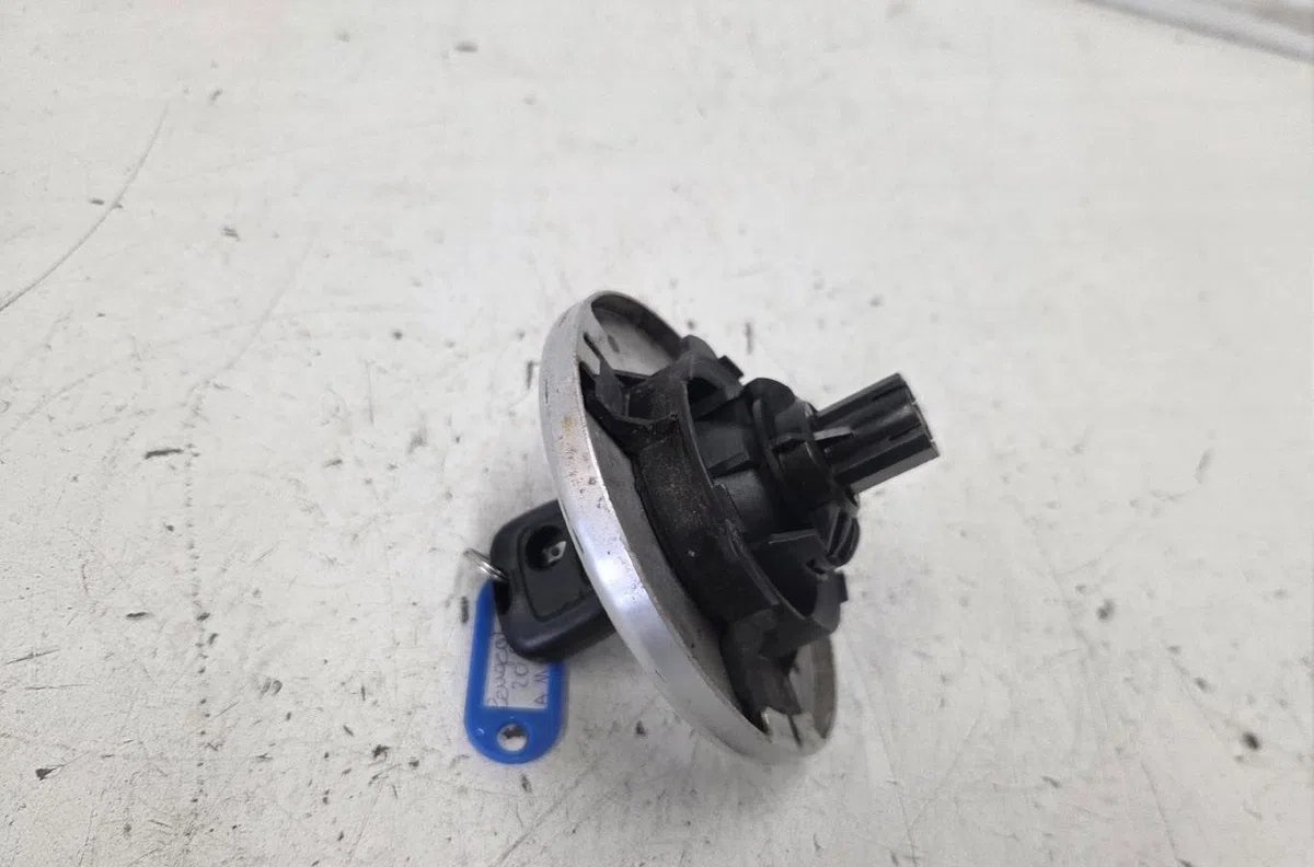 Volet de trappe carburant PEUGEOT 206 occasion
